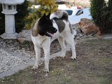 2011_03_27 252.jpg